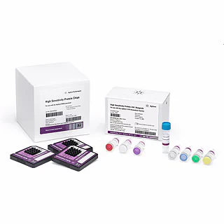 Bioanalyzer High Sensitivity Protein Analysis